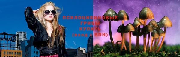 2c-b Алексин